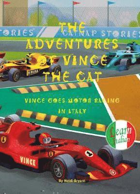 Heidi Bryant - The Adventures of Vince the Cat, Inbunden