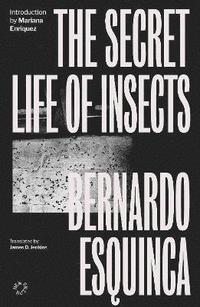 bokomslag The Secret Life of Insects