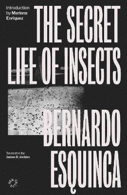 bokomslag Secret Life of Insects