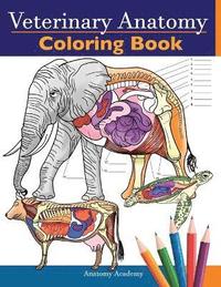 bokomslag Veterinary Anatomy Coloring Book