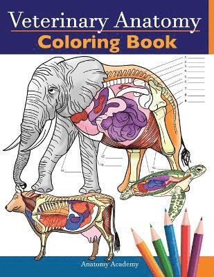 Veterinary Anatomy Coloring Book 1