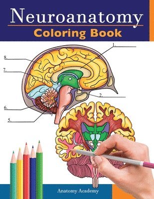 Neuroanatomy Coloring Book 1