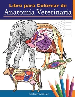 Libro para colorear de anatomia veterinaria 1