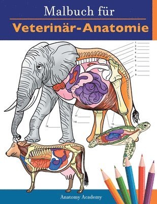 Anatomy Academy - Malbuch für Veterinär-Anatomie, Häftad