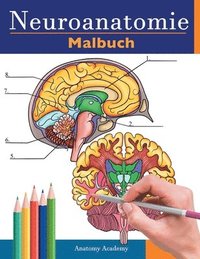 bokomslag Neuroanatomie Malbuch