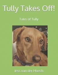 bokomslag Tully Takes Off!