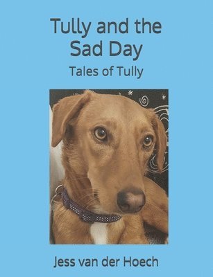 bokomslag Tully and the Sad Day