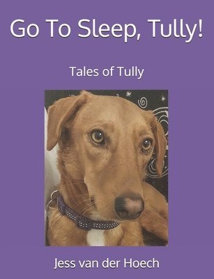 Go To Sleep, Tully! 1