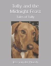 bokomslag Tully and the Midnight Feast