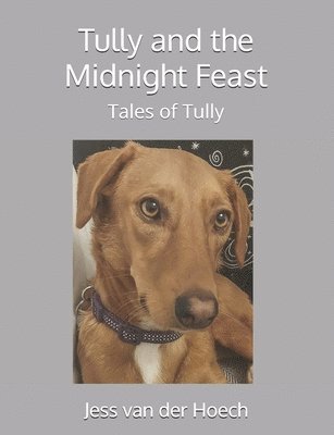 bokomslag Tully and the Midnight Feast