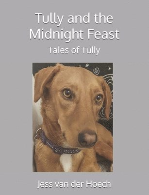 Tully and the Midnight Feast