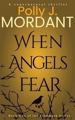 P J Mordant, P. J. Mordant - When Angels Fear, Häftad