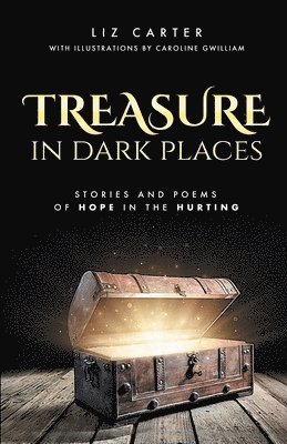 bokomslag Treasure in Dark Places