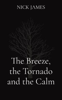 bokomslag The Breeze, the Tornado and the Calm