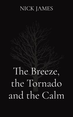 bokomslag The Breeze, the Tornado and the Calm