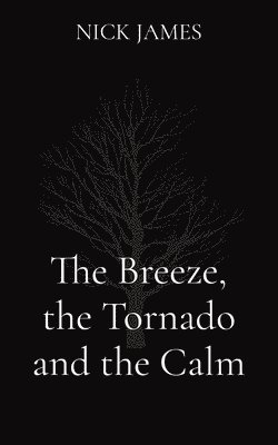 Nick James - Breeze, the Tornado and the Calm, Häftad