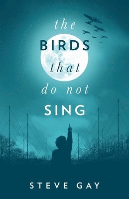 bokomslag Birds that do not Sing