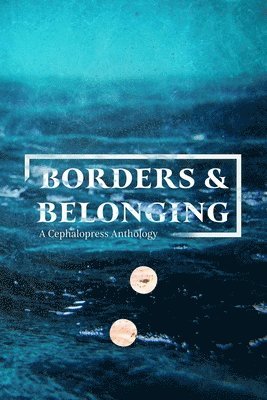 bokomslag Borders & Belonging