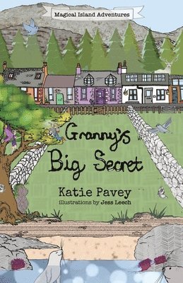 bokomslag Granny's Big Secret
