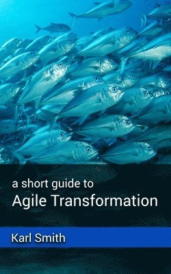bokomslag A short guide to Agile Transformation