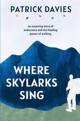 Patrick Davies - Where Skylarks Sing, Häftad