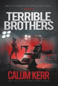 bokomslag Terrible Brothers