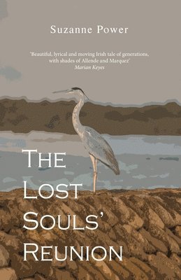 bokomslag Lost Souls' Reunion