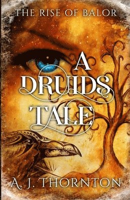 bokomslag A Druids Tale