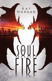 bokomslag Soul of Fire