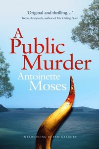 bokomslag A Public Murder