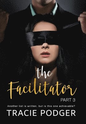bokomslag Facilitator, part 3