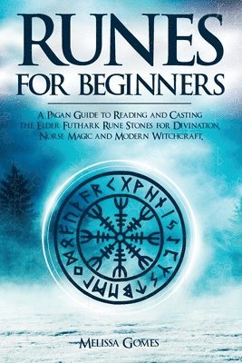 bokomslag Runes for Beginners