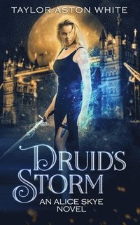 bokomslag Druid's Storm