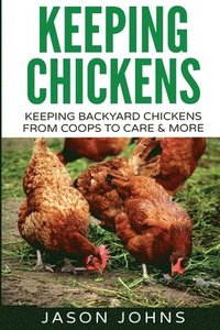 bokomslag Keeping Chickens For Beginners