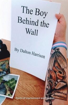 Dalton Harrison, Ash Brockwell - Boy Behind the Wall, Häftad