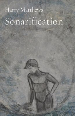 bokomslag Sonarification