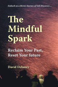 bokomslag Mindful Spark