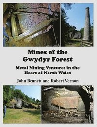 bokomslag Mines of the Gwydyr Forest