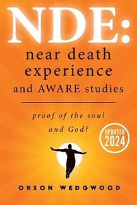 bokomslag NDE: Near Death Experience and AWARE studies