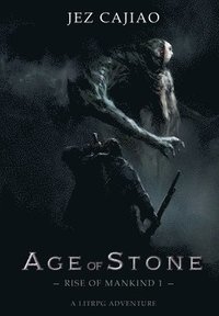 bokomslag Age of Stone