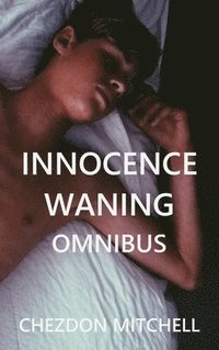 bokomslag Innocence Waning