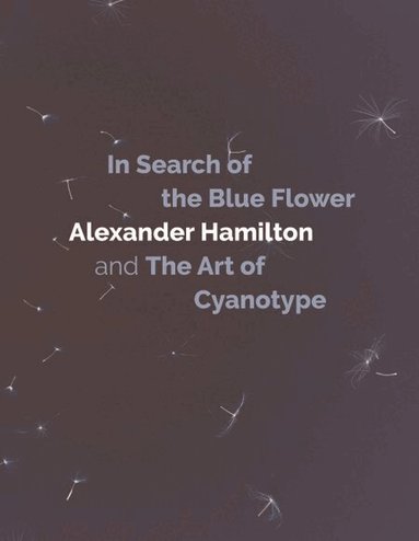 Alexander Hamilton - In Search of the Blue Flower, Inbunden