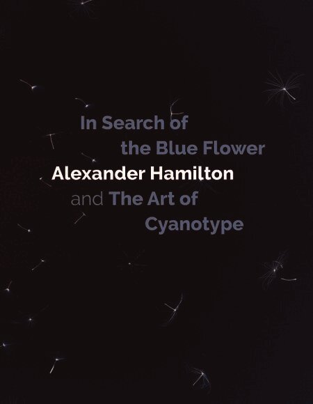 In Search of the Blue Flower