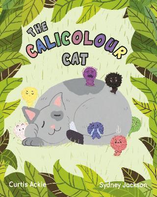 The Calicolour Cat 1