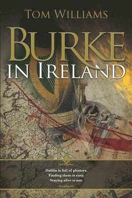 bokomslag Burke in Ireland