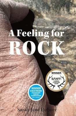 bokomslag Feeling for Rock
