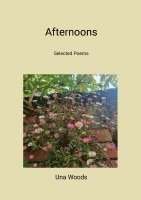 bokomslag afternoons (New edition): selected poems