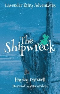 bokomslag Shipwreck