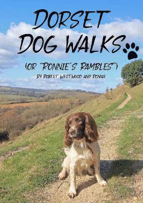 Dorset Dog Walks