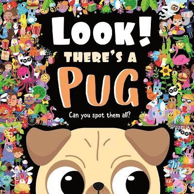 Look! There's a Pug 1